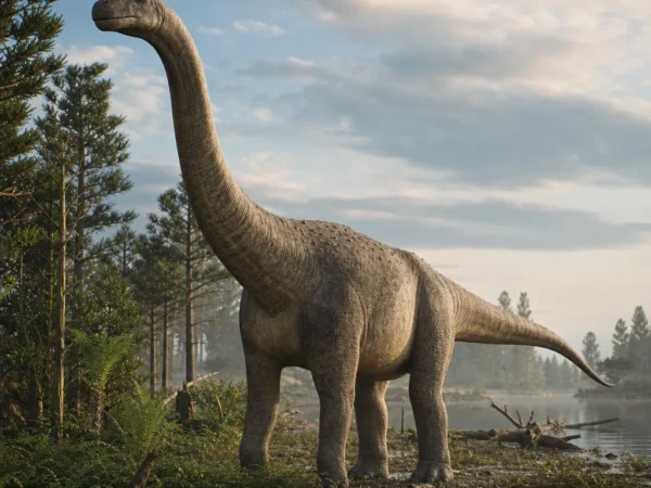 Apatozaur - Apatosaurus