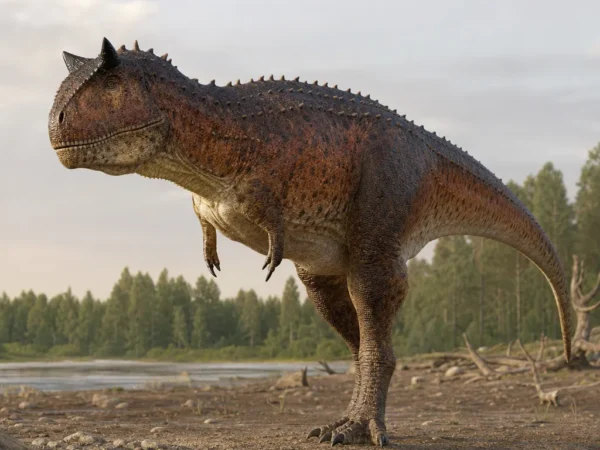 Karnotaur - Carnotaurus