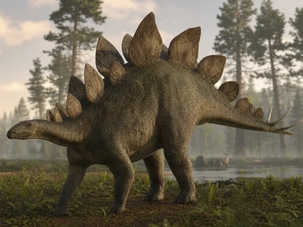 Stegozaur - Stegosaurus