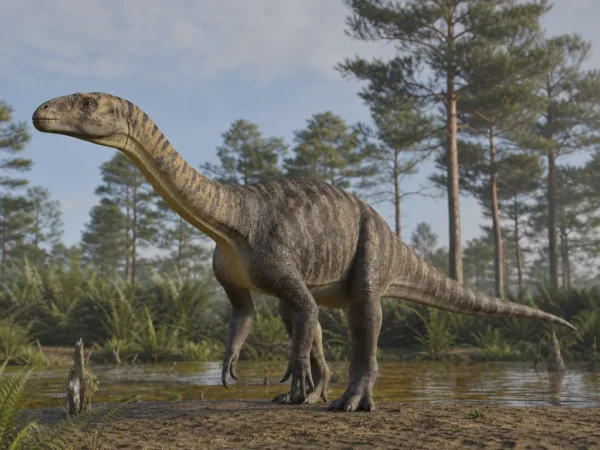 Plateozaur - Plateosaurus