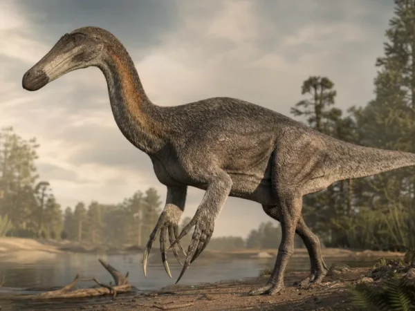 Deinocheir - Deinocheirus