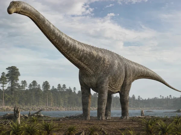 Dreadnoughtus