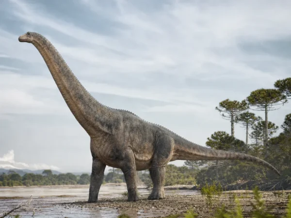 Patagotitan