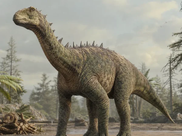 Amargazaur - Amargasaurus